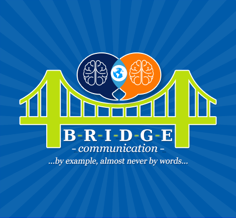 Bridge Communication