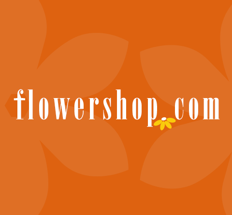 Cactus Flowers